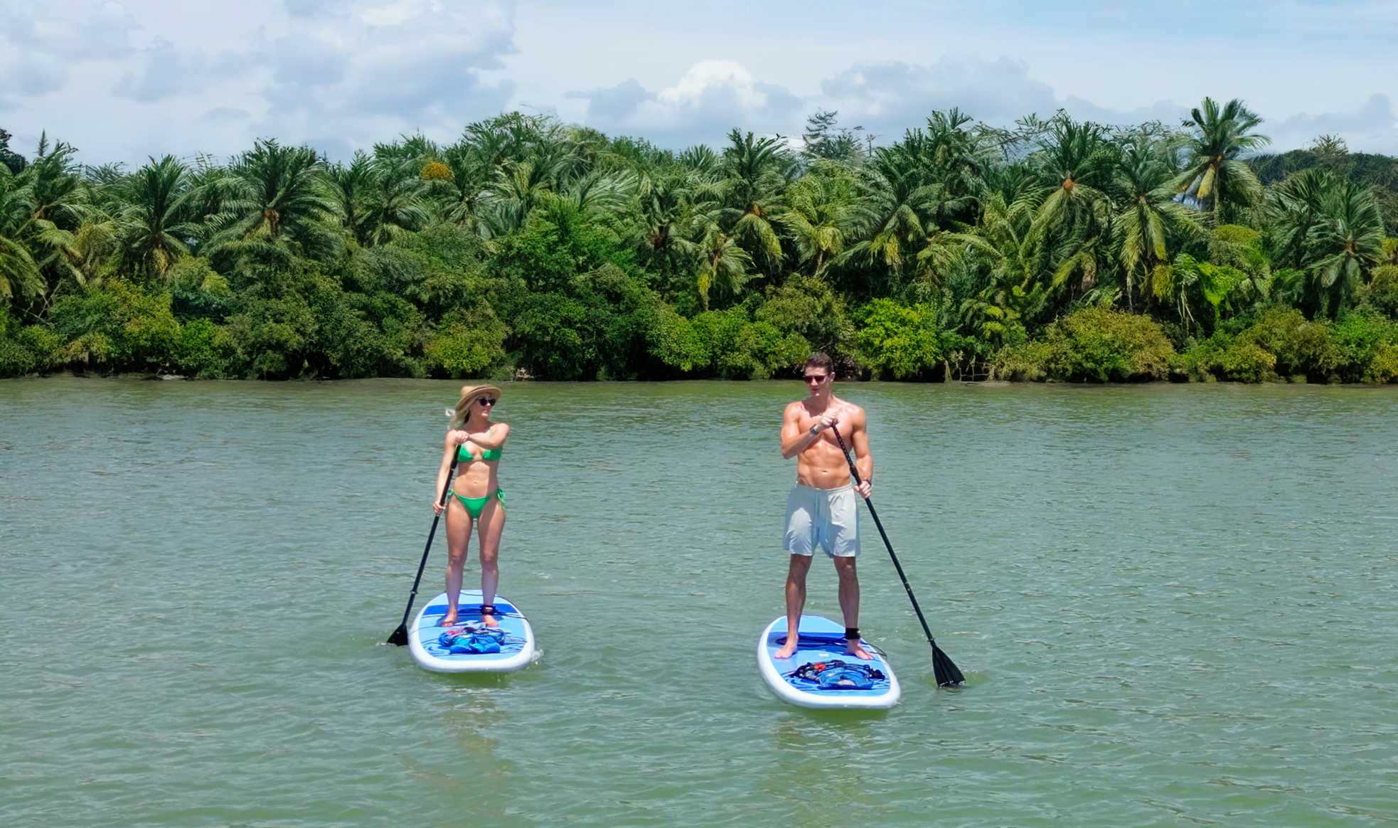 twi-sup-1